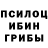 Псилоцибиновые грибы Psilocybe Alex Lait