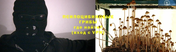 мяу мяу кристалл Переславль-Залесский