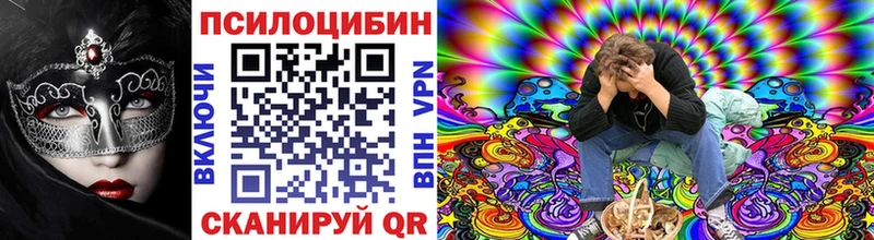 продажа наркотиков Чернушка Галлюциногенные грибы Psilocybine cubensis