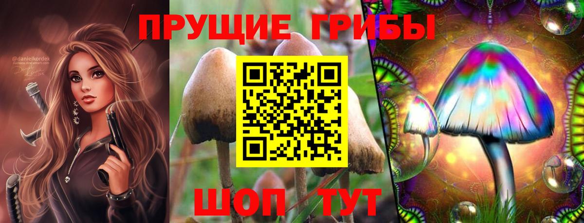 Чернушка  Псилоцибиновые грибы Psilocybine cubensis  Вход с VPN  Псилоцибиновые грибы мицелий 